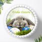 Preview: Ostern Tortenaufleger Ø 20cm, 0160w